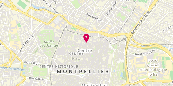 Plan de L'Oignon Givré, 46 Rue de l'Université, 34000 Montpellier