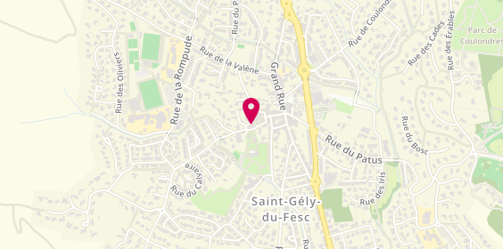 Plan de Chez Toto Pizza, 76 Rue de la Cannelle, 34980 Saint-Gély-du-Fesc