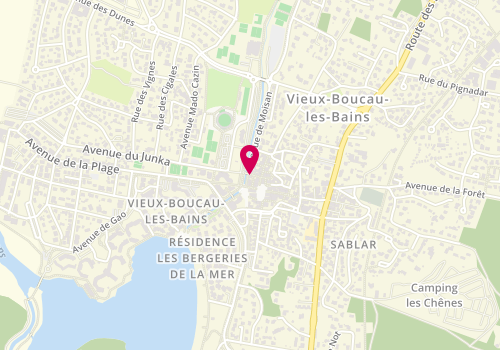 Plan de Chez Alex, 12 avenue de Moisan, 40480 Vieux-Boucau-les-Bains