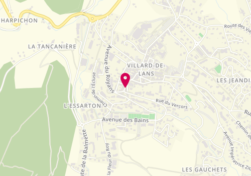 Plan de Le Yéti, 21 avenue des Francs-Tireurs, 38250 Villard-de-Lans