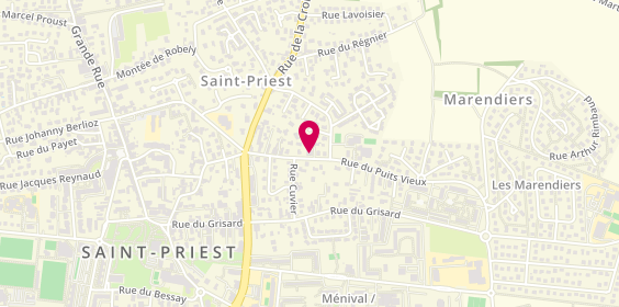 Plan de Les Pizzas du Puits Vieux, 43 Rue du Puits Vieux, 69800 Saint-Priest