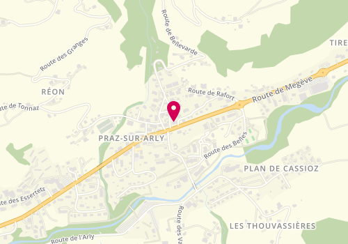 Plan de Pizz Moutain, 28 Route de Bellevarde, 74120 Praz-sur-Arly