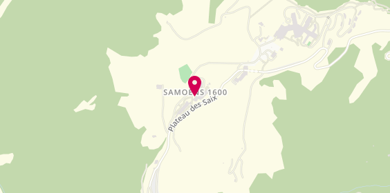 Plan de Demoiselle des Saix, Plateau des Saix, 74340 Samoëns