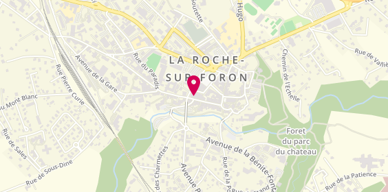 Plan de Lr 74, 15 Rue Perrine, 74800 La Roche-sur-Foron