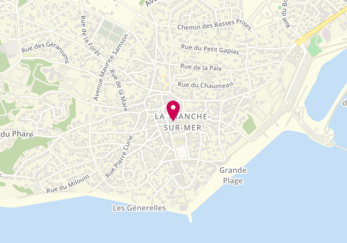 Plan de Pizzarico, 5 Rue Victor Hugo, 85360 La Tranche-sur-Mer