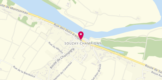 Plan de La Tour de Pizz, 46 Bis Rue Ducs d'Anjou, 49400 Souzay-Champigny