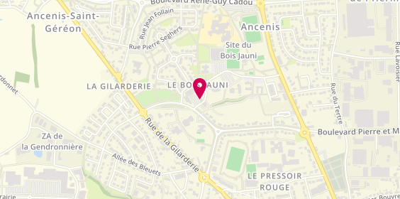 Plan de Iferana Pizzeria, Commerces du Bois Jauni
37 Rue Pierre de Coubertin, 44150 Ancenis-Saint-Géréon