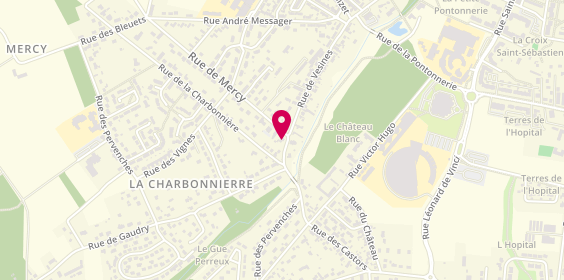 Plan de Le Chateau Blanc, 81 Rue de Vesines, 45700 Pannes