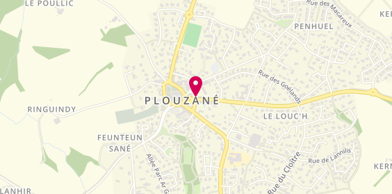 Plan de Au Palais du Bourg, 6 Route de la Trinité, 29280 Plouzané