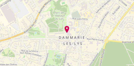 Plan de Pizza D-Lys, 593 Rue du Bas Moulins, 77190 Dammarie-lès-Lys