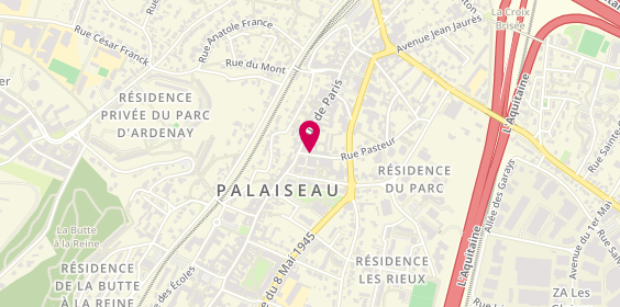 Plan de Allo Pizza, 5 Rue Pasteur, 91120 Palaiseau