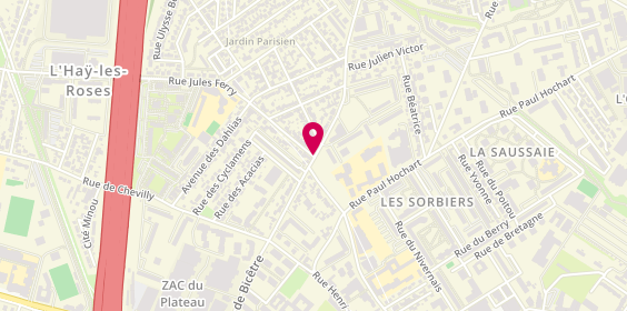 Plan de Andiamo Pizza, 117 Rue de Bicètre, 94240 L'Haÿ-les-Roses