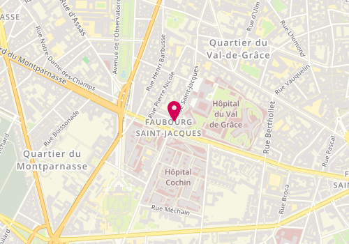 Plan de Pizza No Limit, 305 Rue Saint Jacques, 75005 Paris