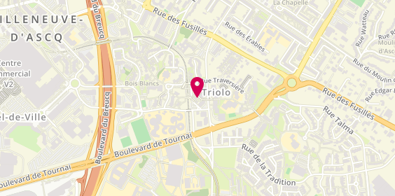 Plan de Triolo Pizza, 11 Rue Traversière, 59650 Villeneuve-d'Ascq
